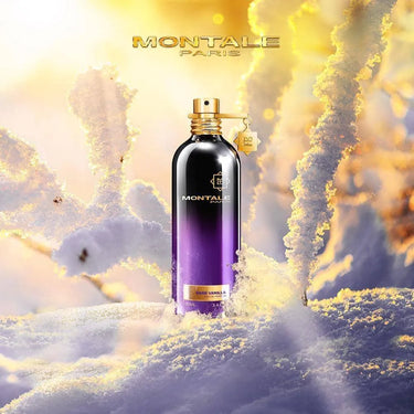 Dark Vanilla (100 ml) - Skin / Scent